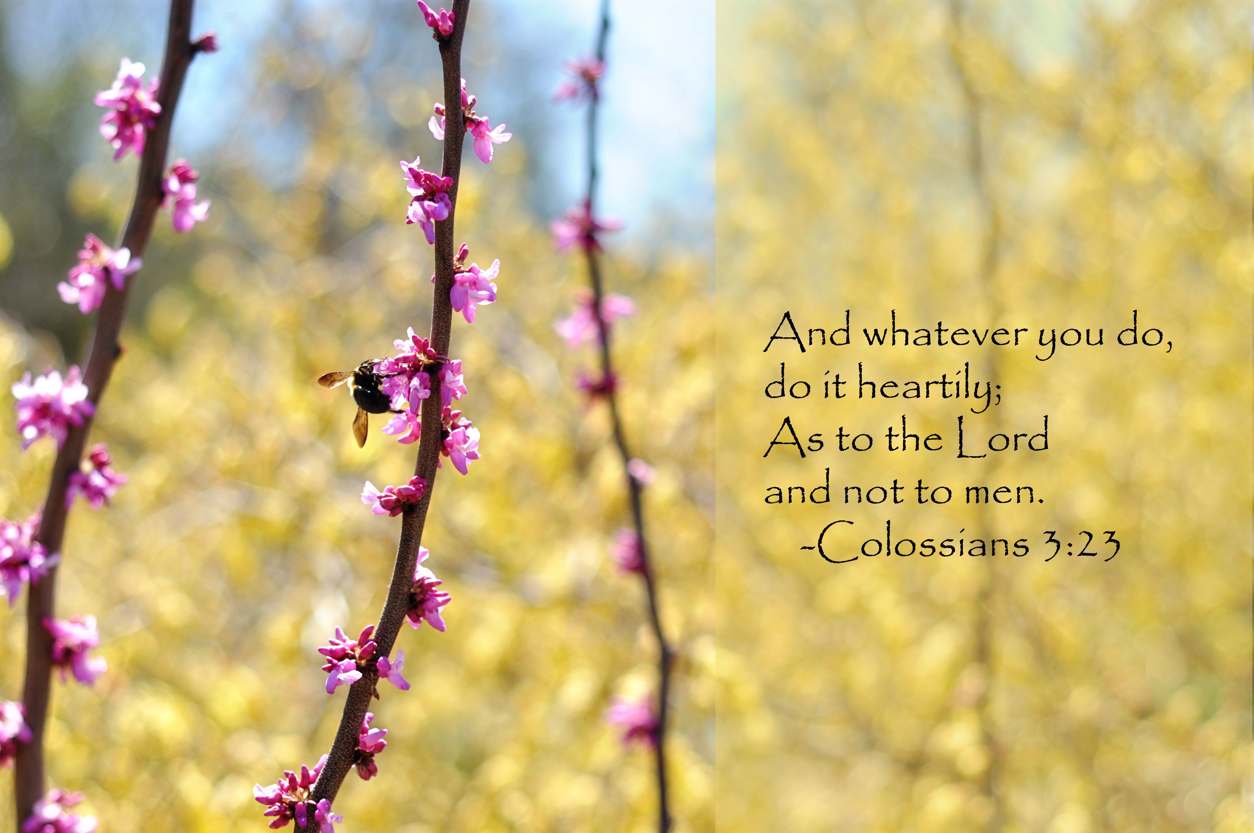 Bible Verses For Macbook Wallpapers Wallpaper Cave