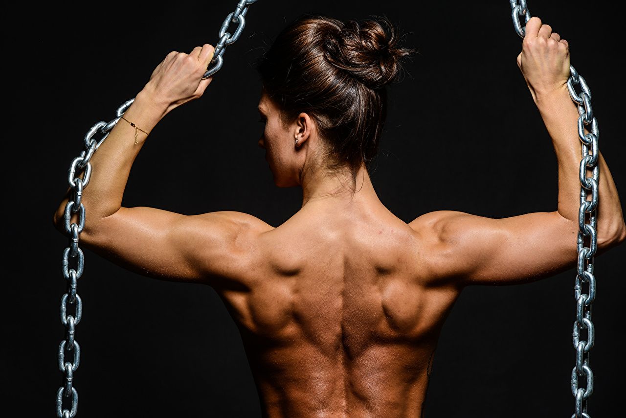 Wallpaper Bodybuilders