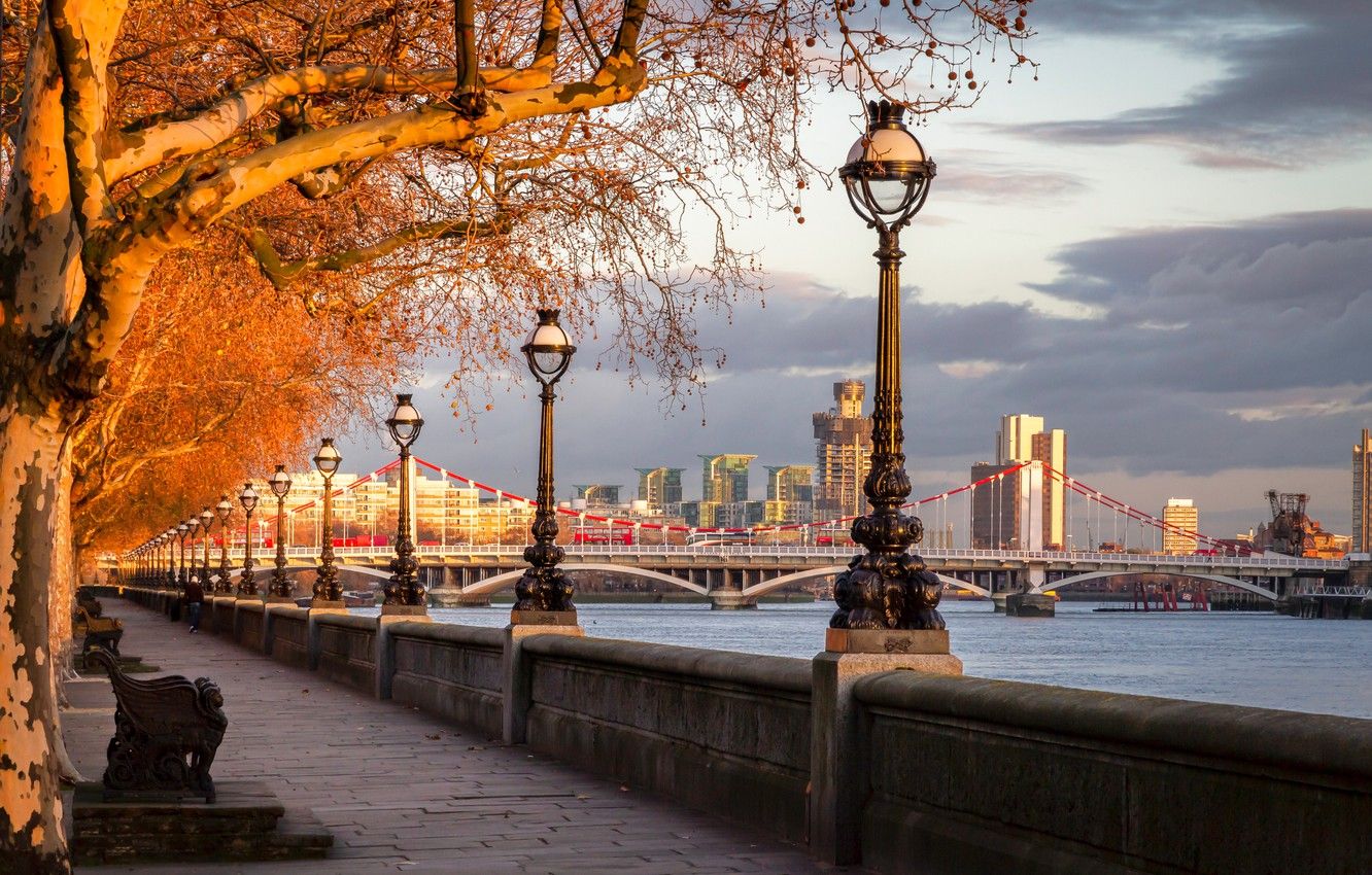 Wallpaper autumn, trees, bridge, river, England, London, lights