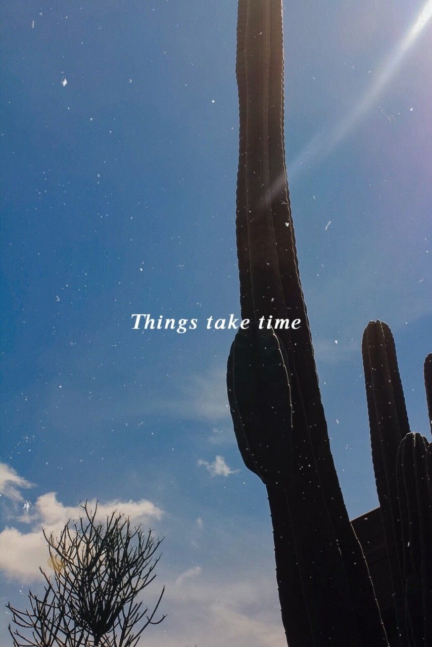 things take time uploaded by