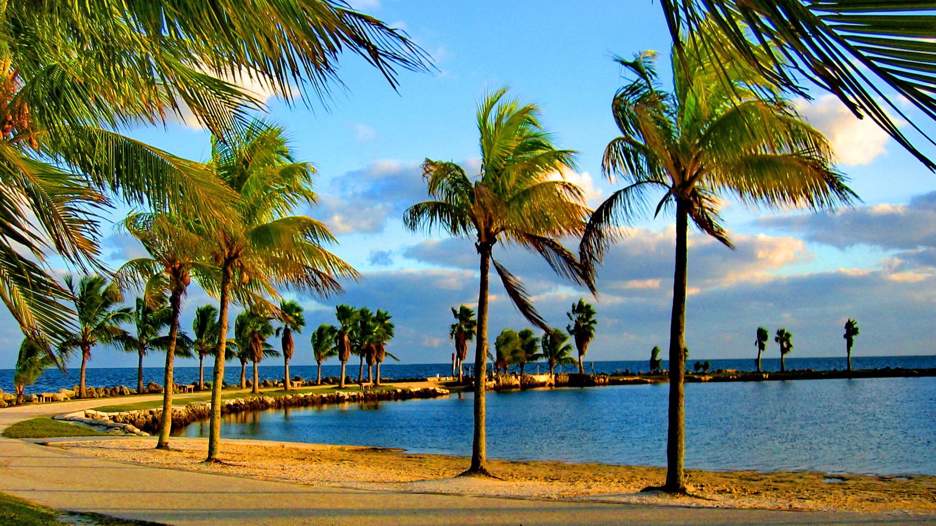 Palm trees on the coast of Miami Desktop wallpaper 1920x1080