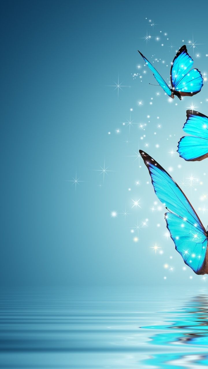 butterfly, butterfly, magic, butterfly, magic, mood desktop wallpaper 12647