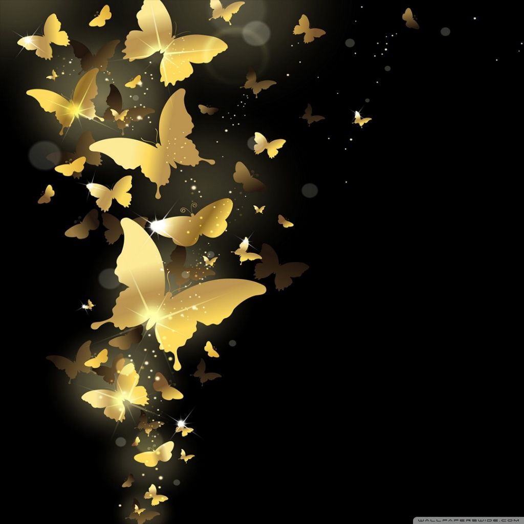 Golden Butterflies Ultra HD Desktop Background Wallpaper for 4K