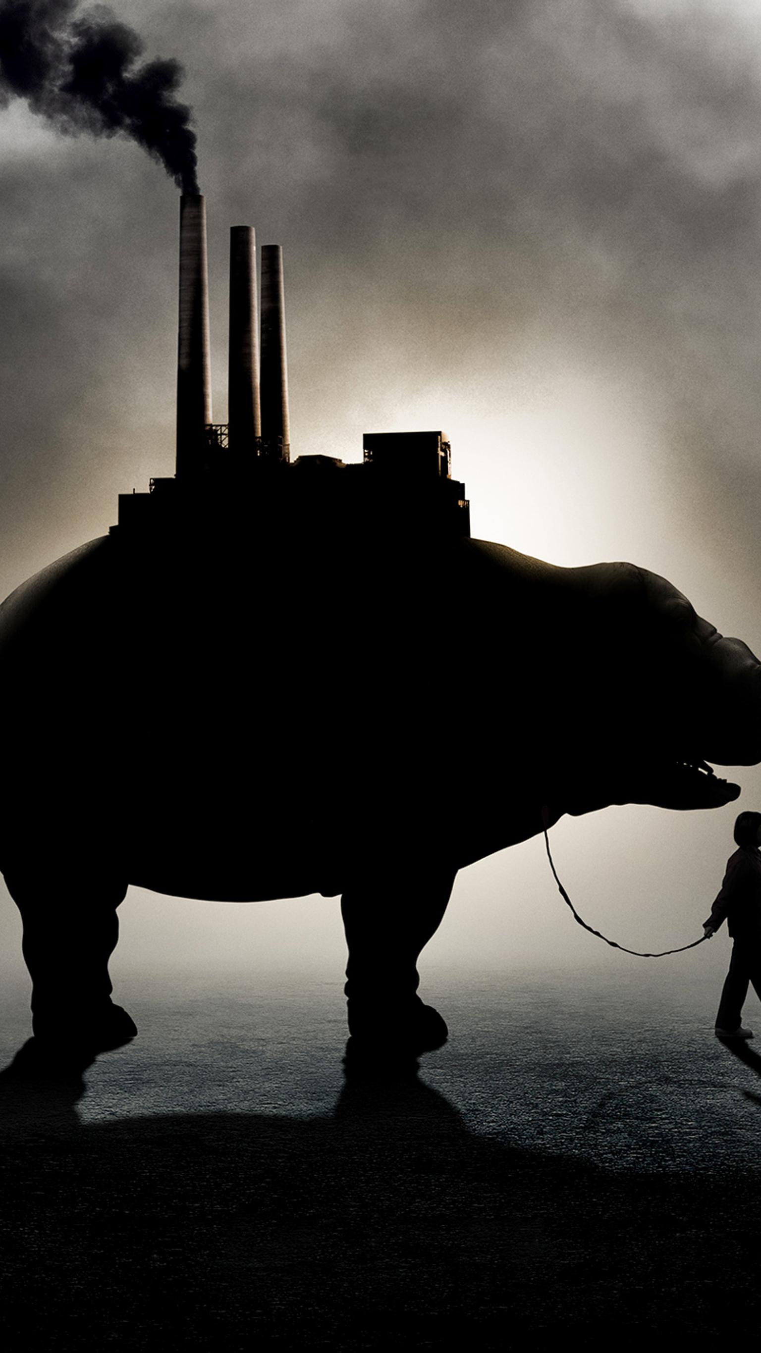 Okja for Android HD wallpaper | Pxfuel