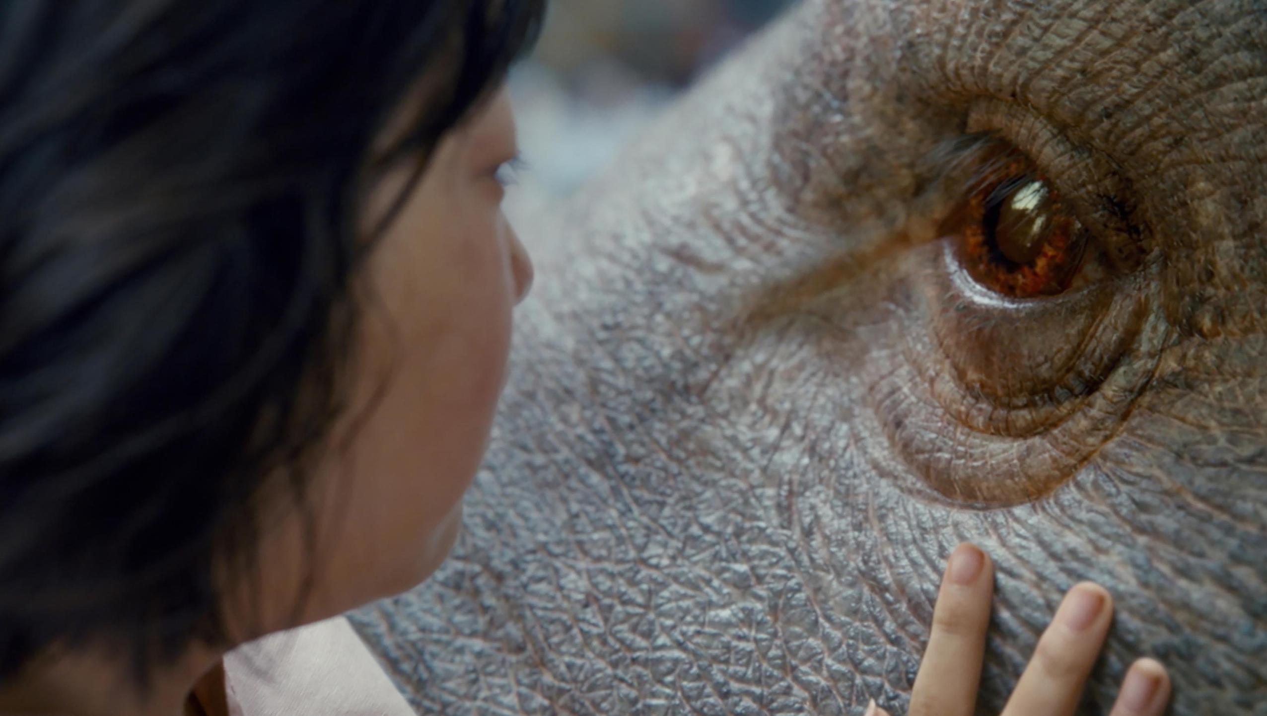 Okja Desktop Wallpaper