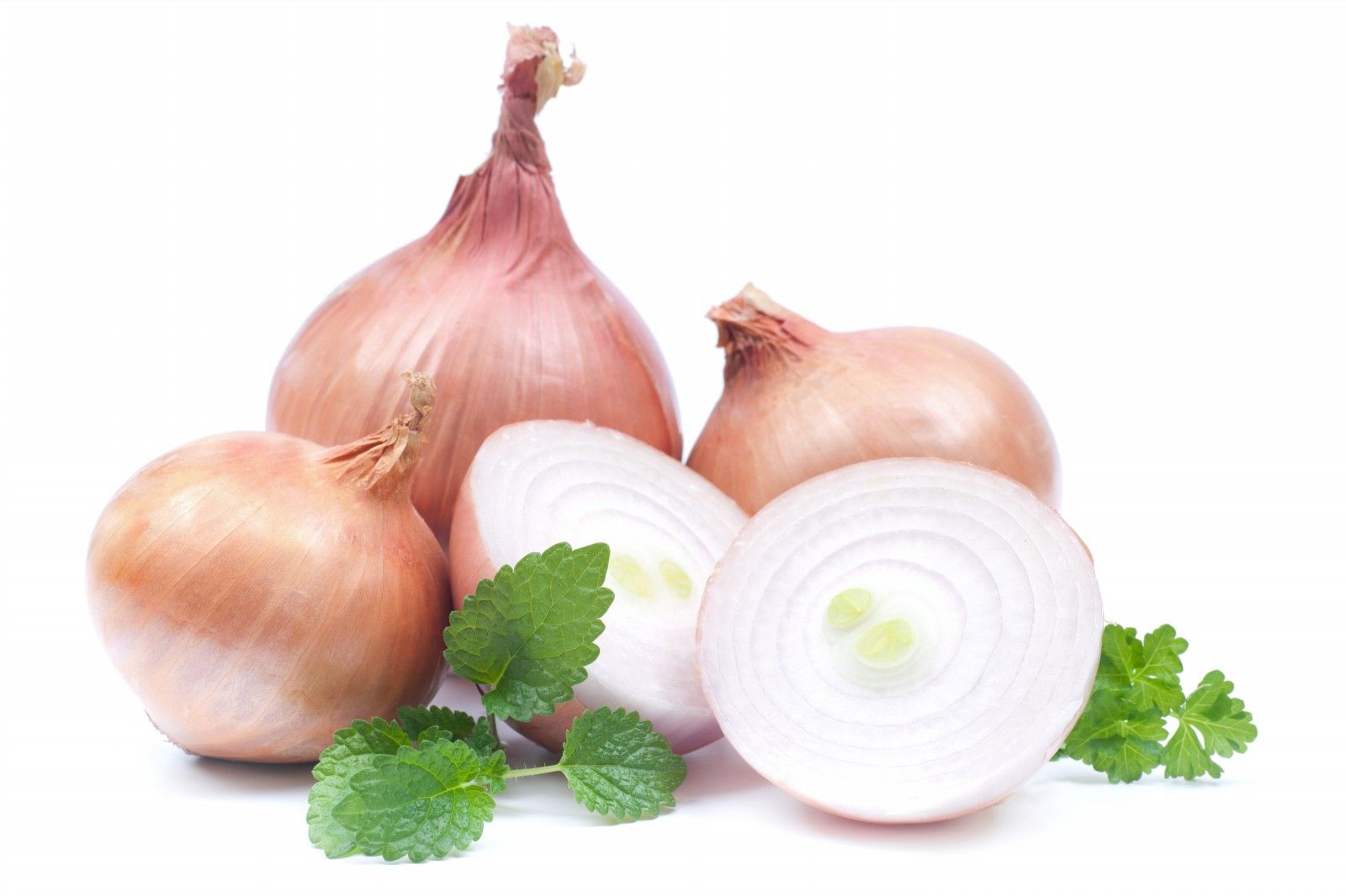 Fresh Onions. Free image