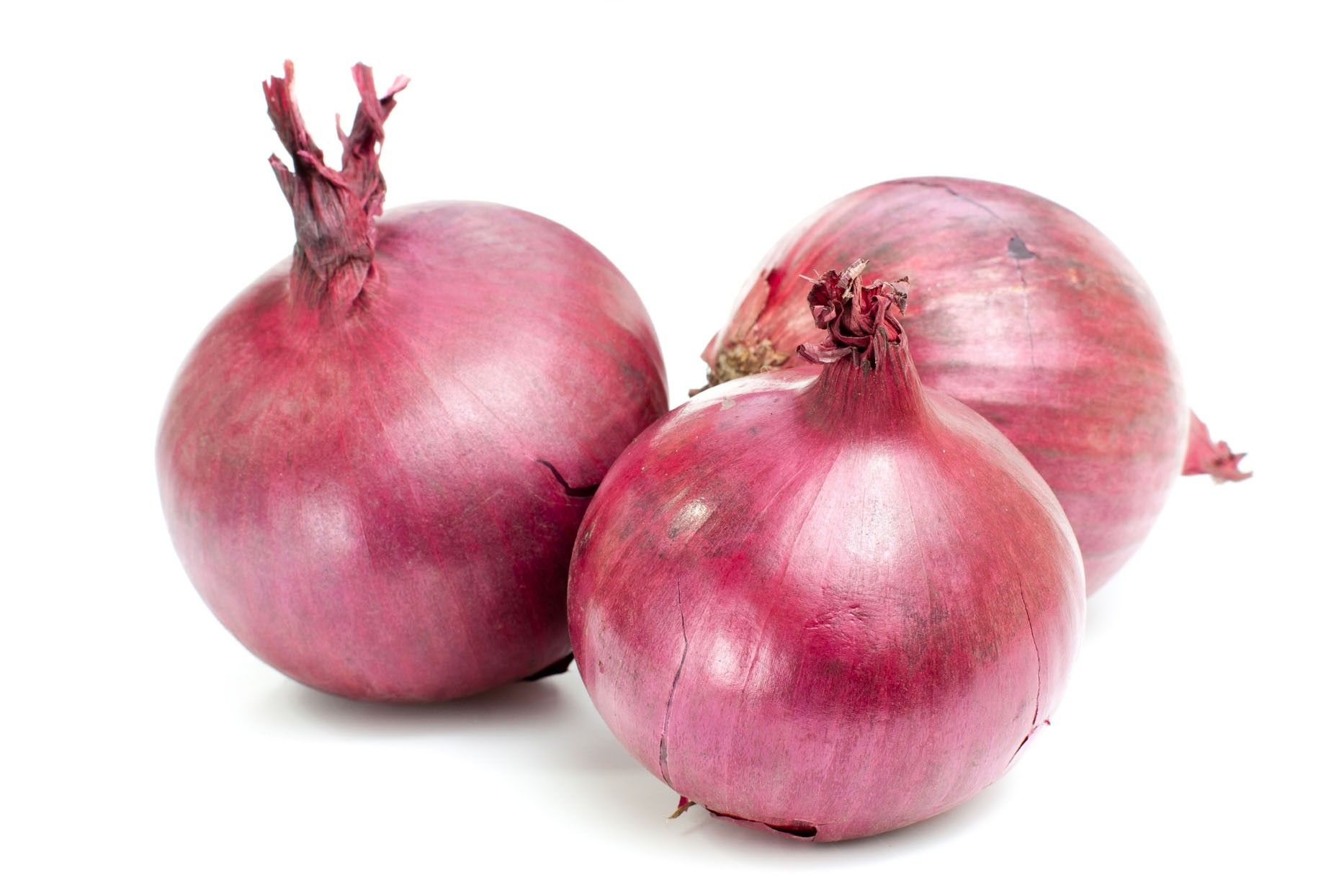 Onion Background. Onion Head Wallpaper