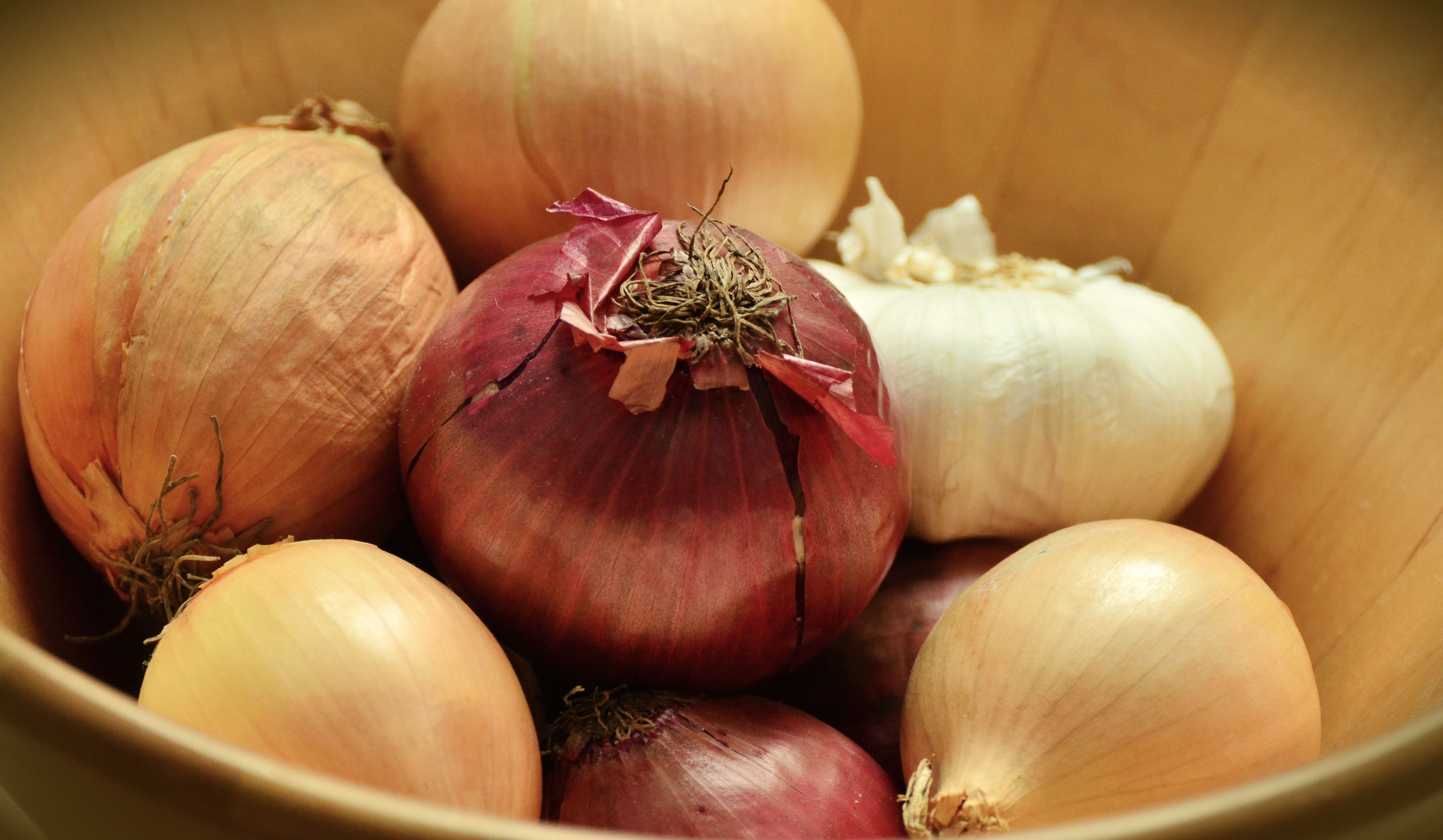 royalty free onions image