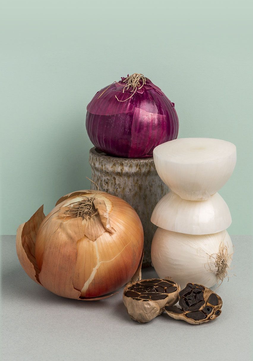 Mundane Aesthetic: Onions. Onion, Food illustrations, Food art
