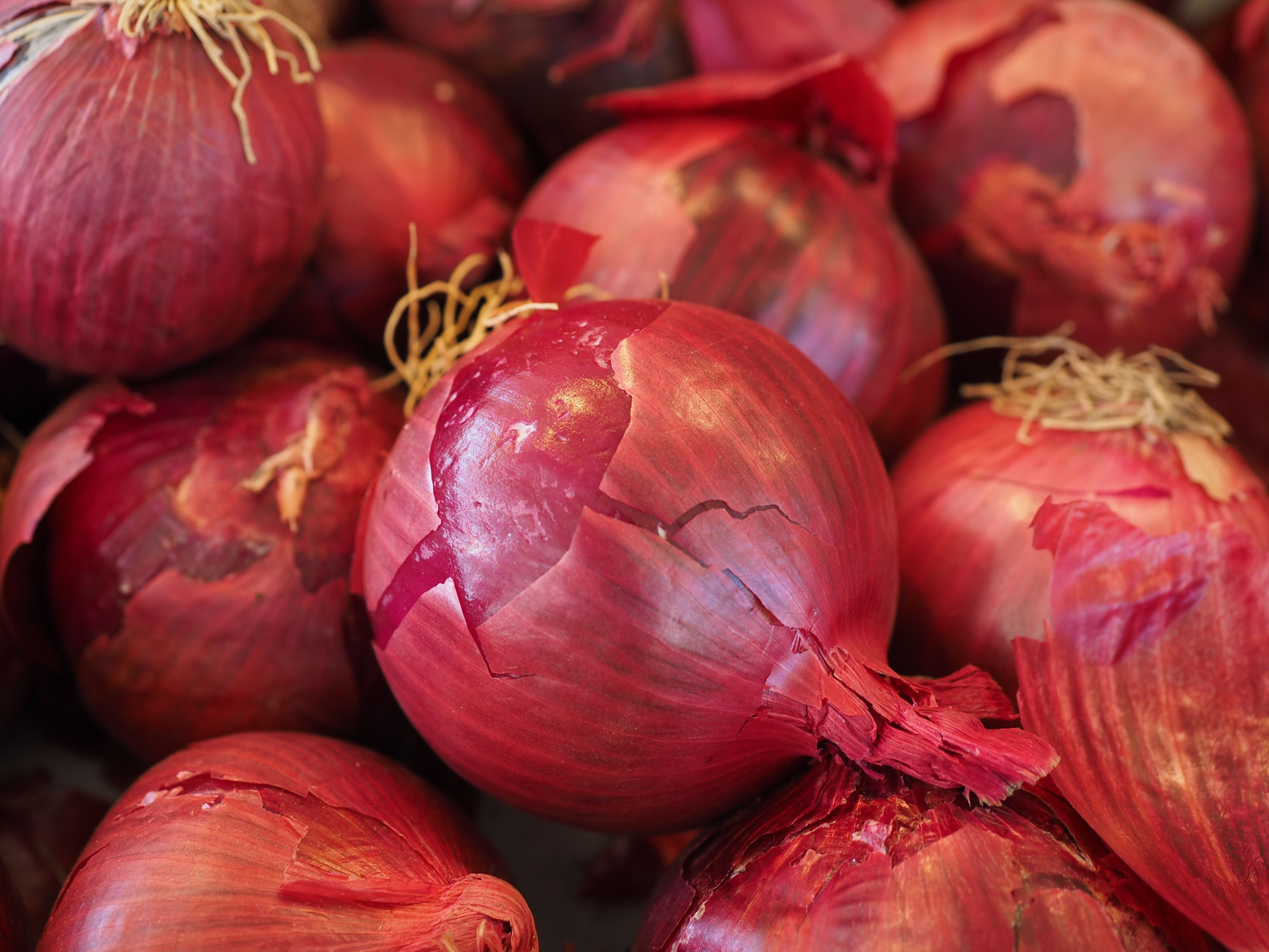Red Onions · Free