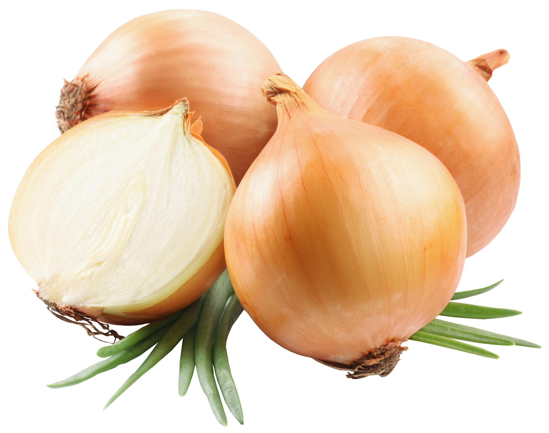 Onions PNG Picutre Quality Image