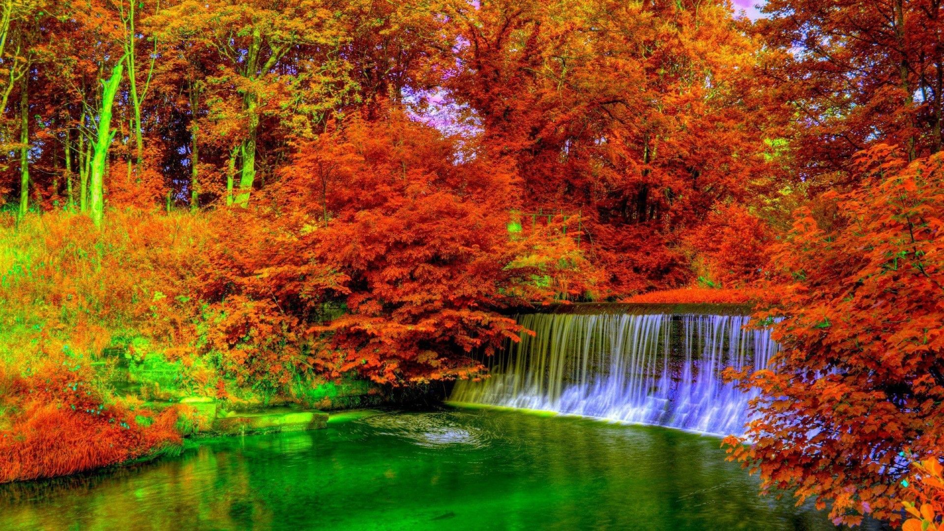 Trees: Trees Autumn Fall Landscape Forest Nature Tree HD Live 1600×1000 Live Nature Wallpaper For PC 52 W. Autumn waterfalls, Waterfall wallpaper, Autumn nature