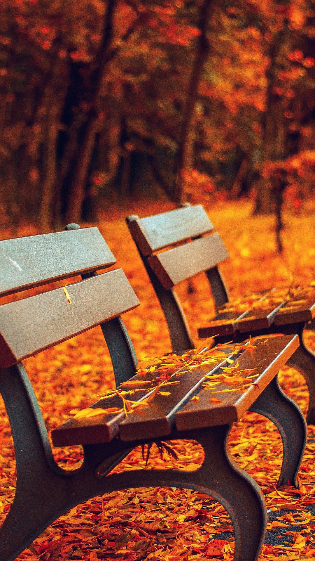 Nature Autumn Fall Leaves On Roadside Bench iPhone 8 Wallpaper Free Download