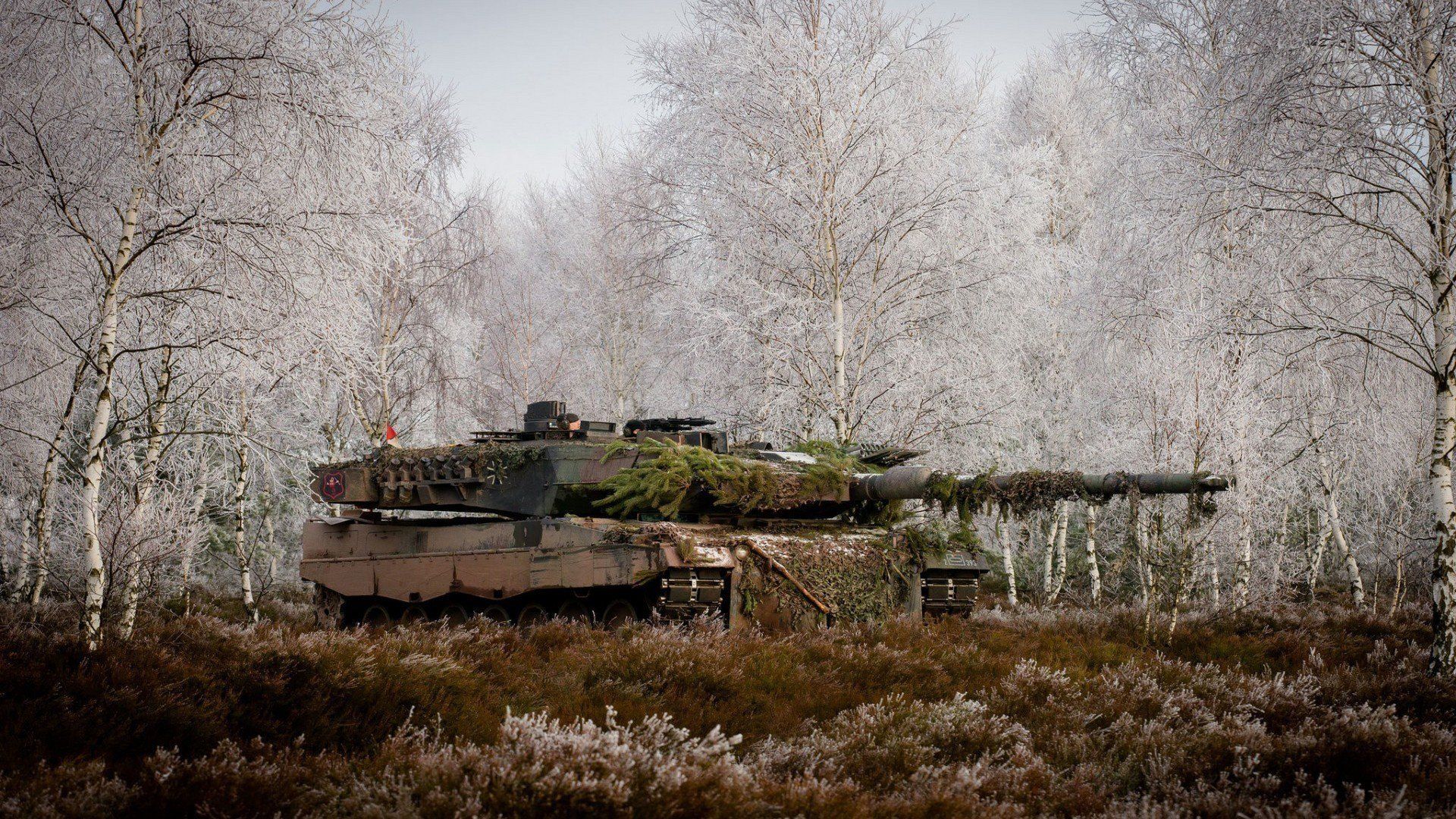 Leopard 2 HD Wallpaper. Background Imagex1080