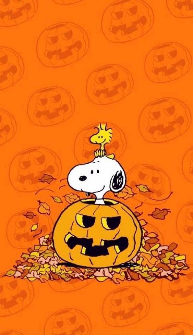 Snoopy Fall  Peanuts Fall HD phone wallpaper  Pxfuel