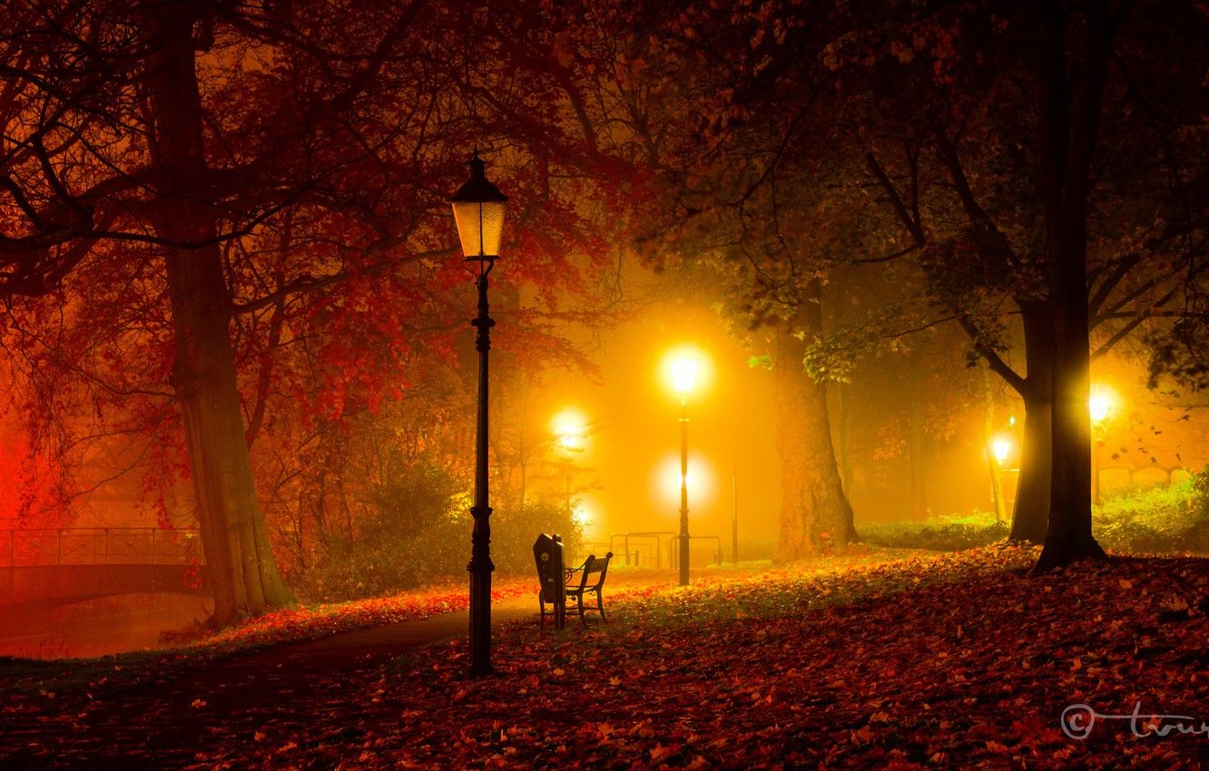 Wallpaper autumn, light, trees, bench, night, bridge, Park