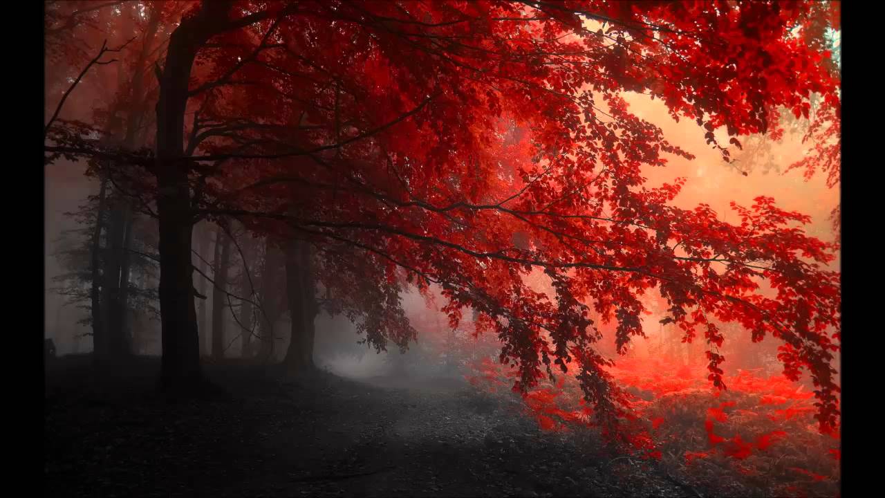 Vibrasphere Lights (MindWave Remix)