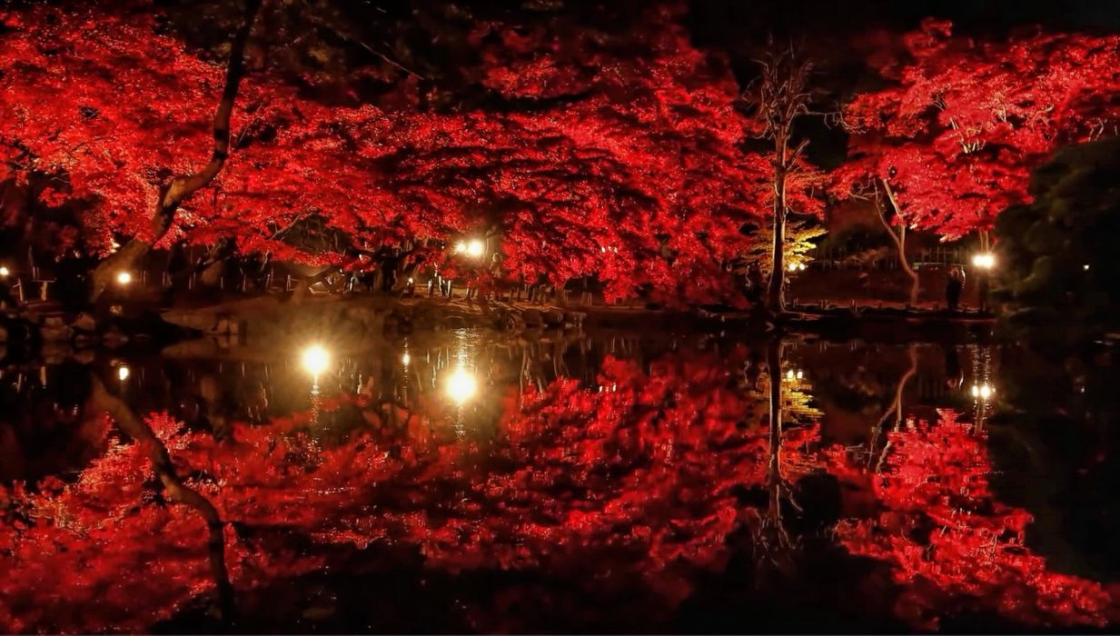 Autumn Lights Wallpapers Wallpaper Cave
