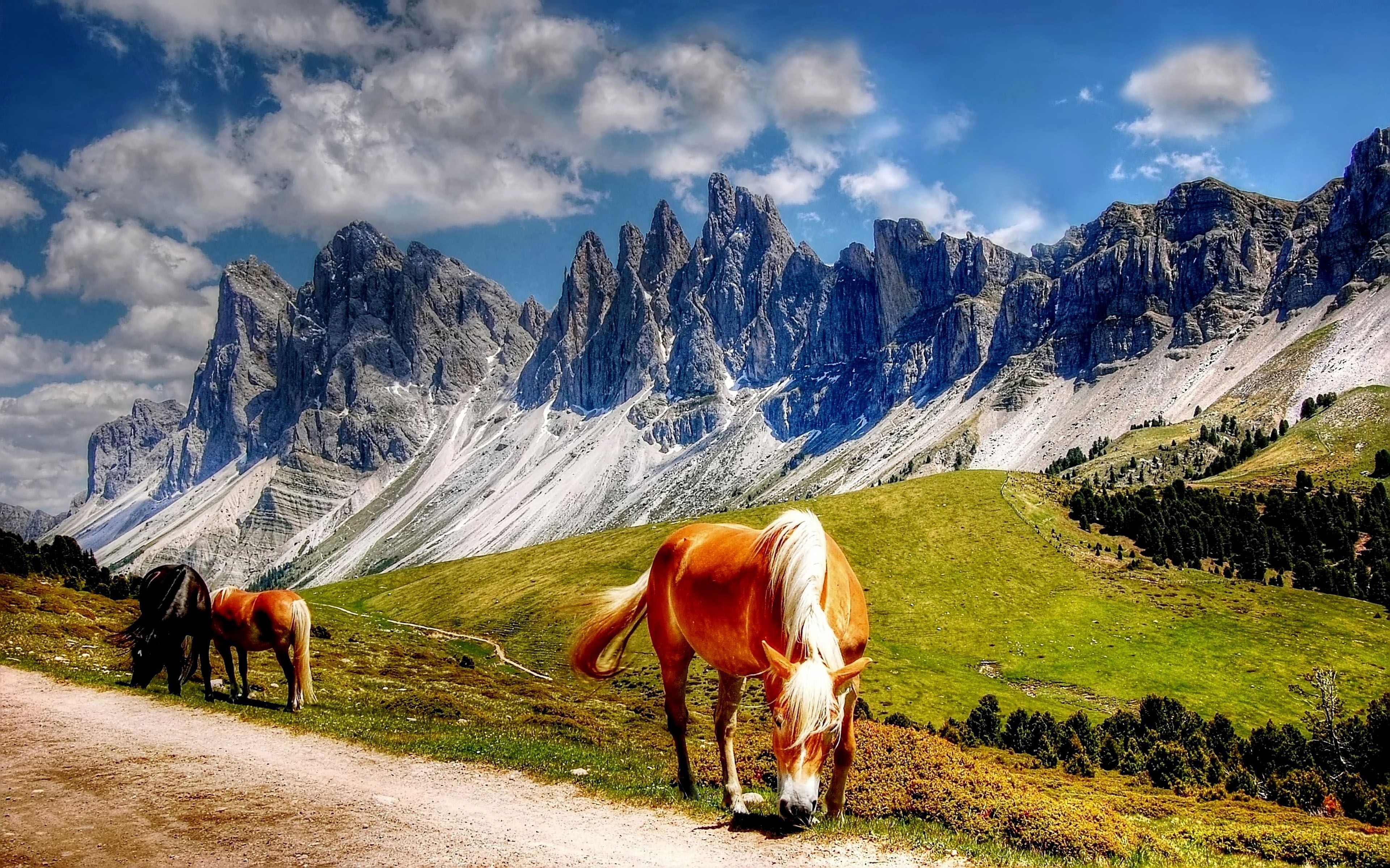 Horses In The Dolomites Mountains Italy South Tyrol Landscape