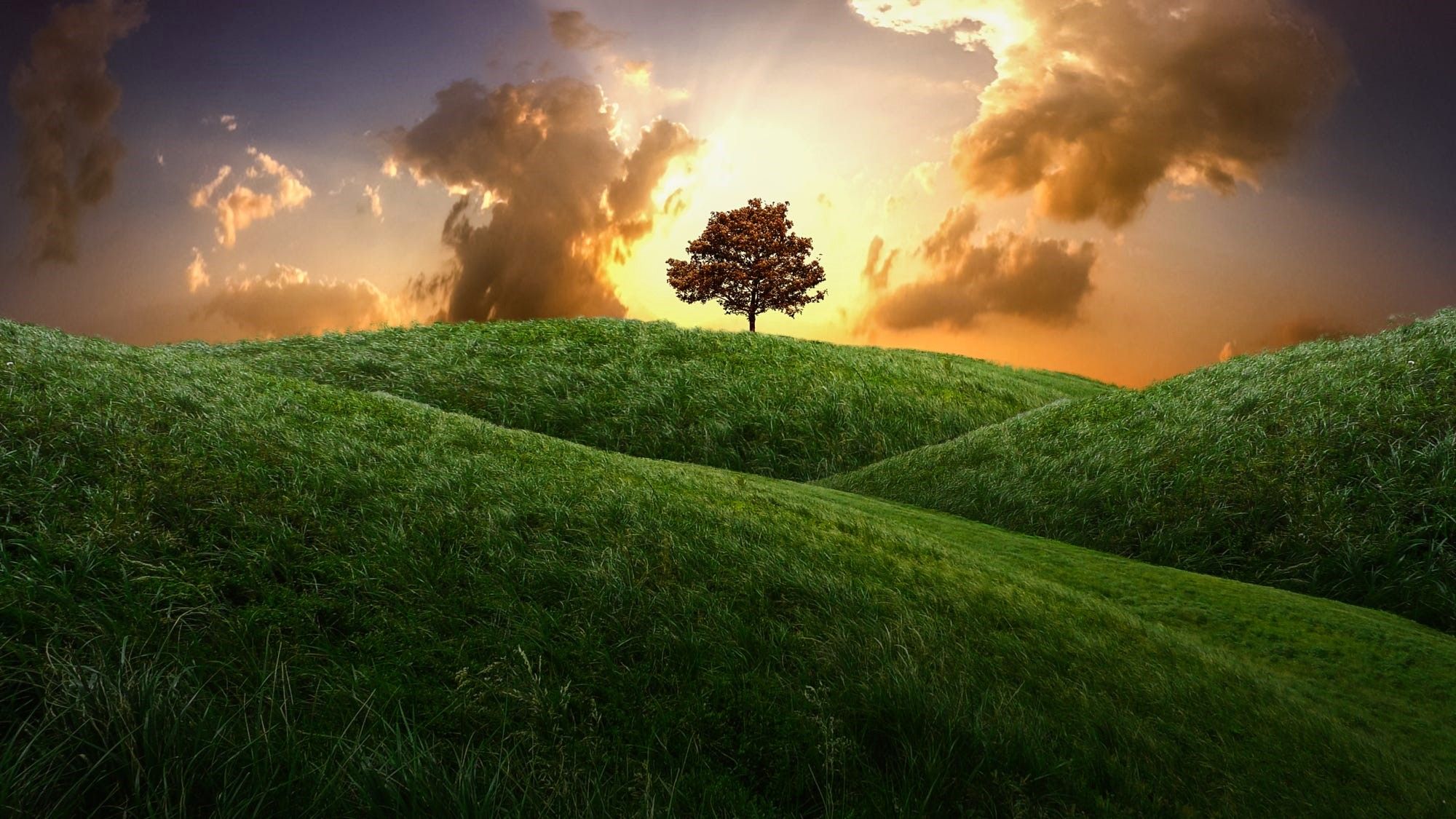 Cloudy Sunset over Lone Tree in Green Hills HD Wallpaper