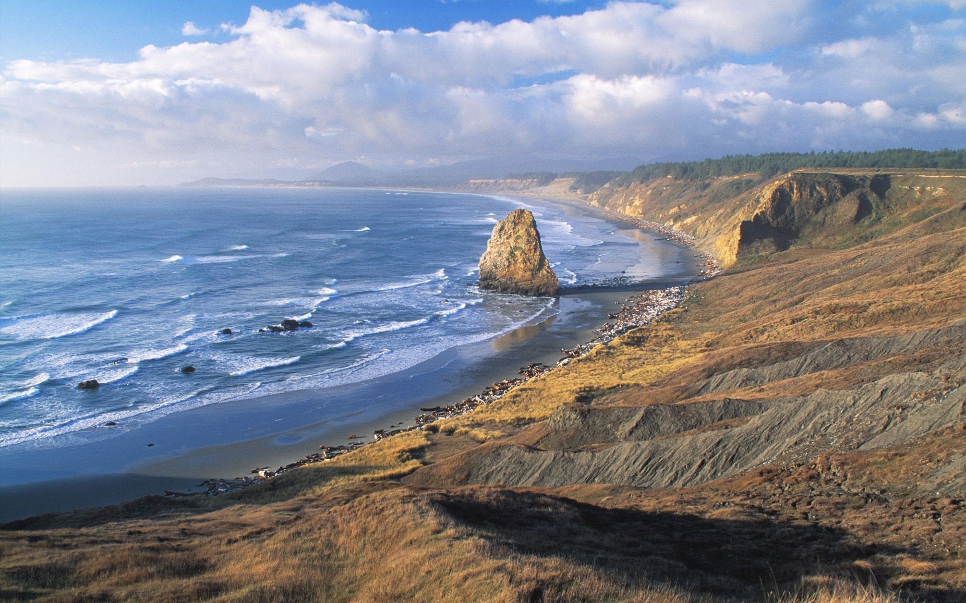 Ocean Rock Beach Trees Cliff wallpaper. Ocean Rock Beach Trees