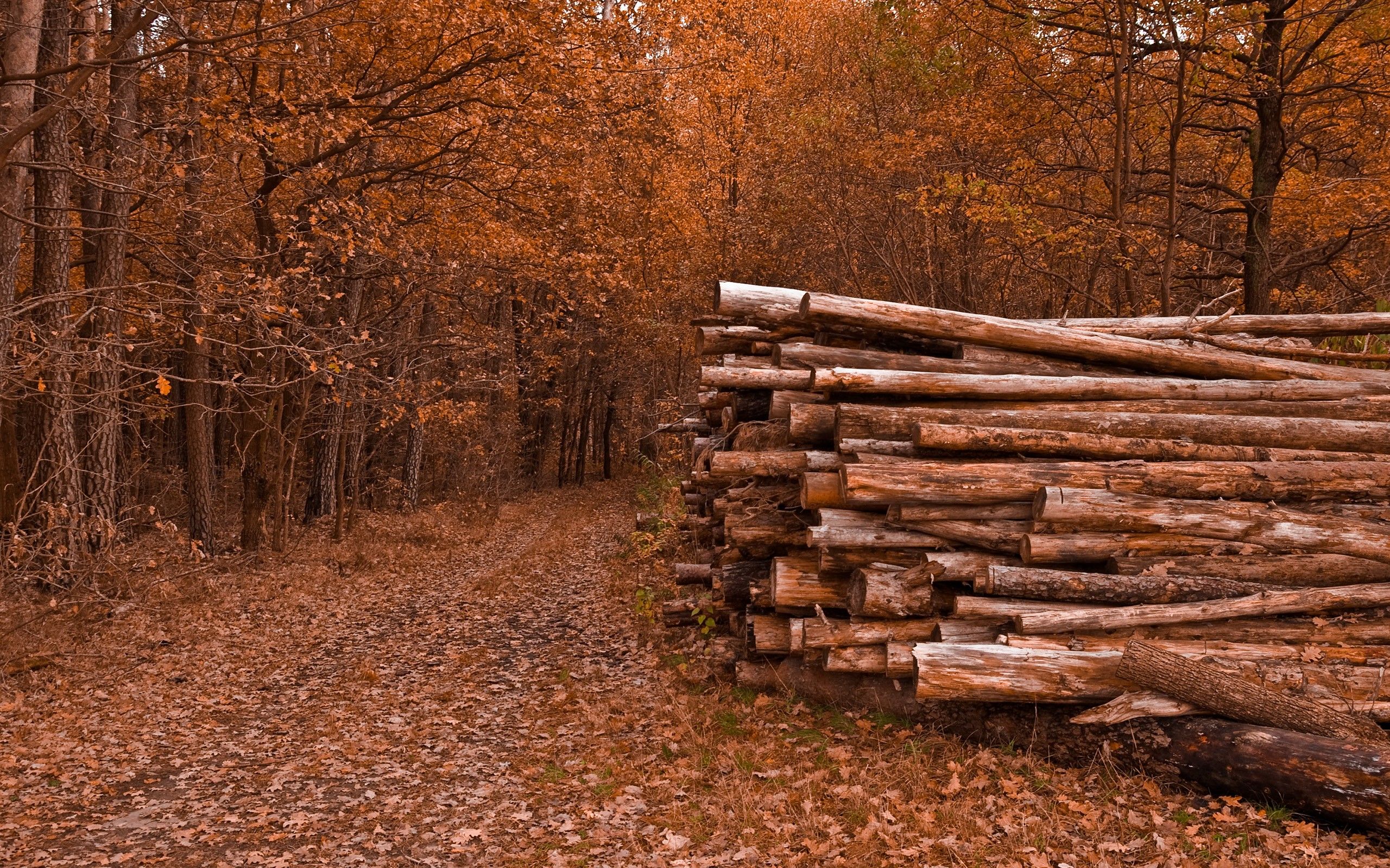 Logging Wallpaper