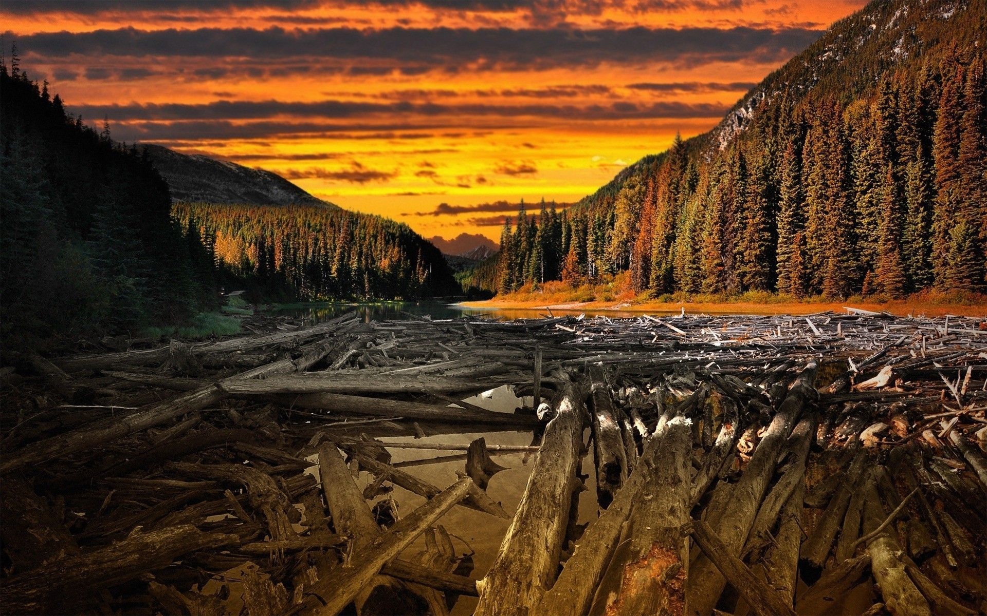 Forest Sunset Wood & River wallpaper. Forest Sunset Wood & River