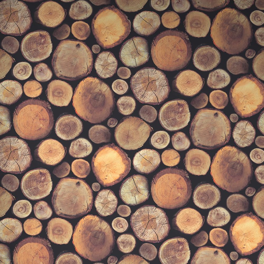 Stacked Chopped Logs Wallpaper Windsor Wallcoverings This fantastic logs wallpaper uses a photographic style i. Log wallpaper, Wall coverings, Wallpaper