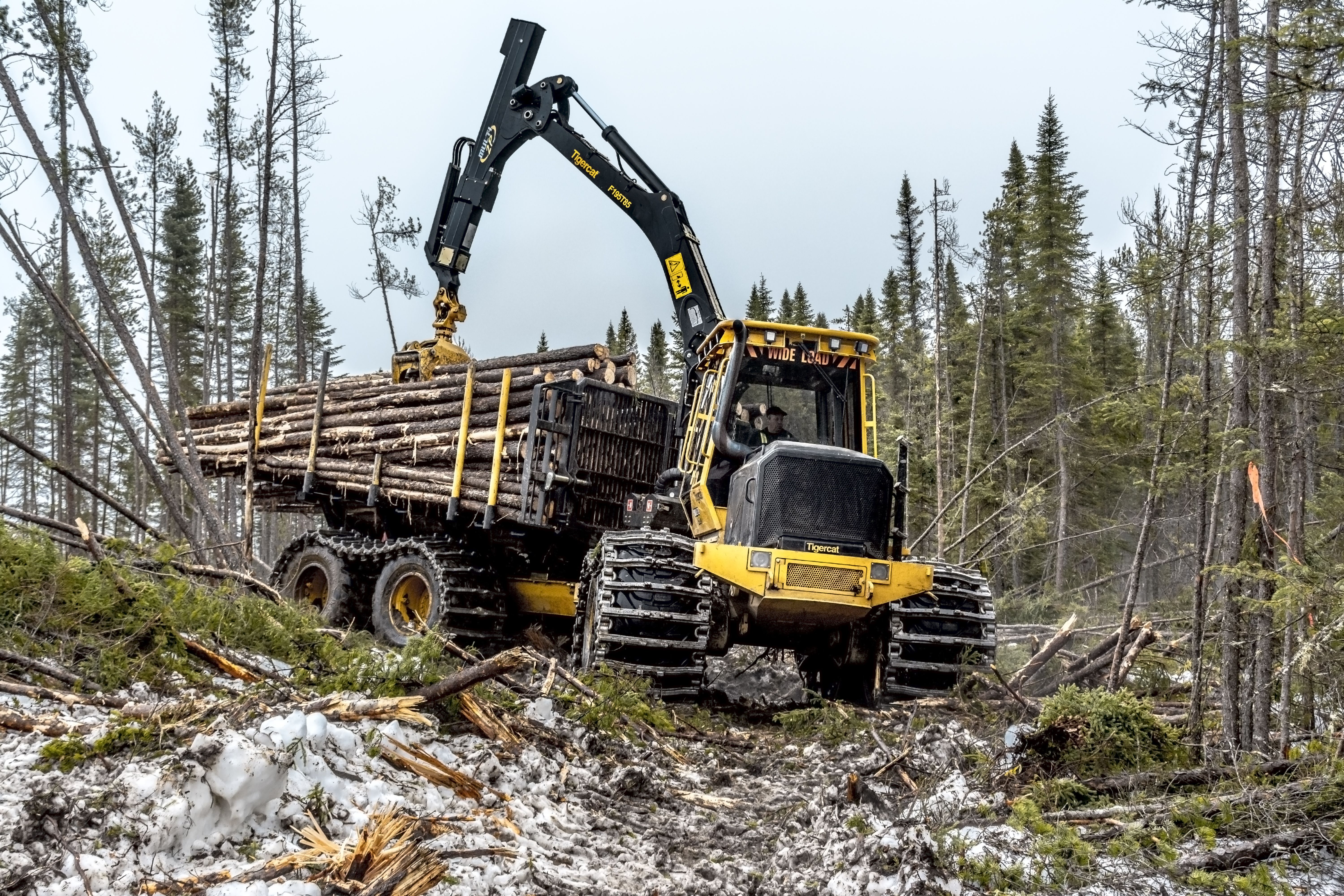 Download Tigercat image of Forest Machines