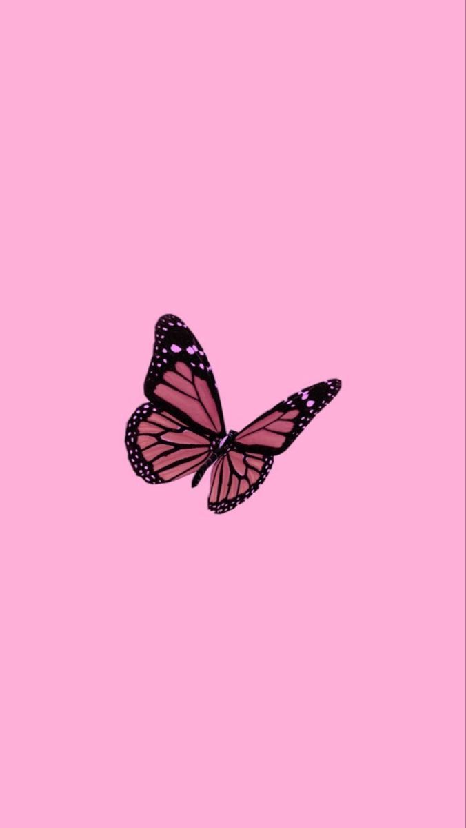 ooo. Butterfly wallpaper iphone, Butterfly wallpaper, Pink wallpaper iphone