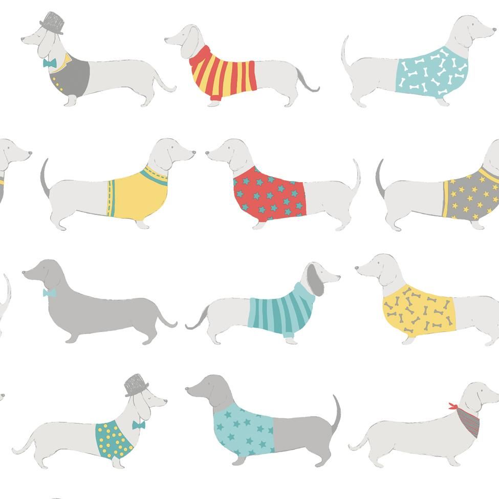 Catherine Lansfield Silly Sausage Dogs Wallpaper