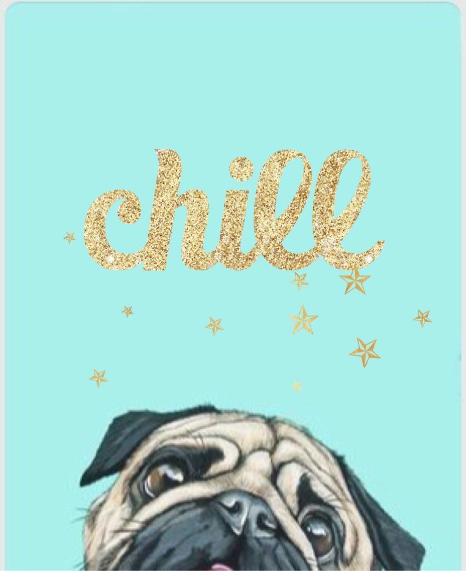 chill pug. Pug wallpaper, Cute doodles, Cute pugs