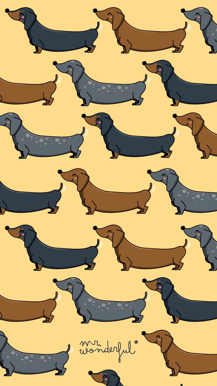 Sausage Dog Wallpapers - Wallpaper Cave