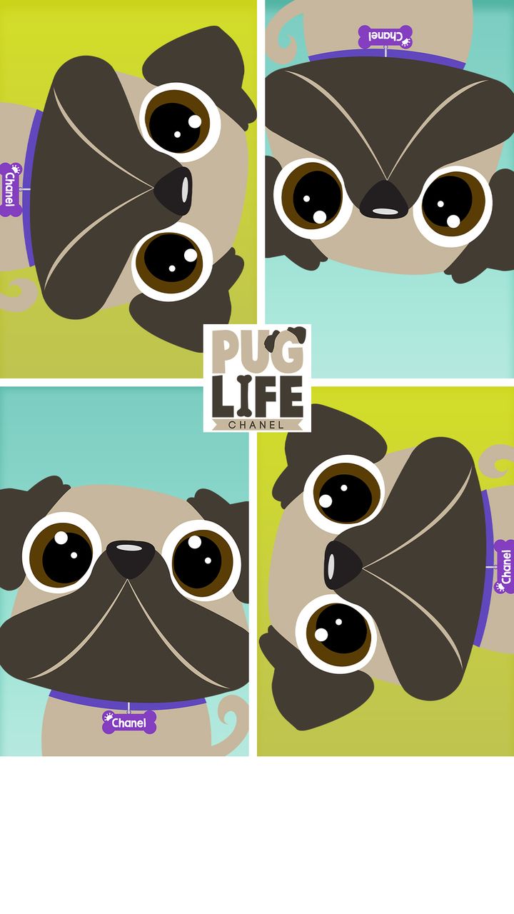 Pug Retro uploaded by Chanel Pug Life