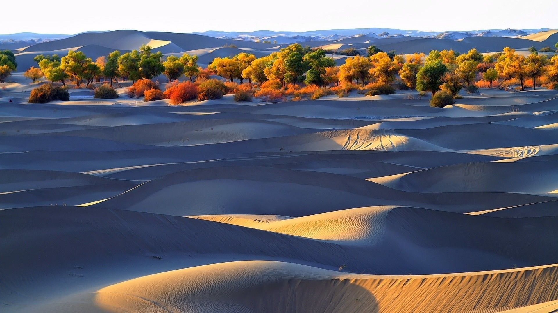 Autumn In The Desert Wallpapers - Wallpaper Cave