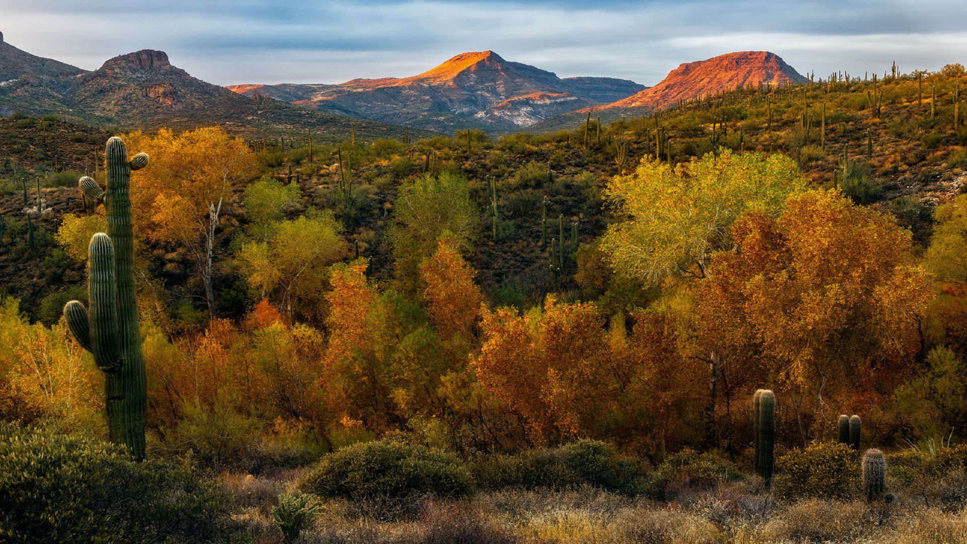 Autumn In The Desert Wallpapers - Wallpaper Cave