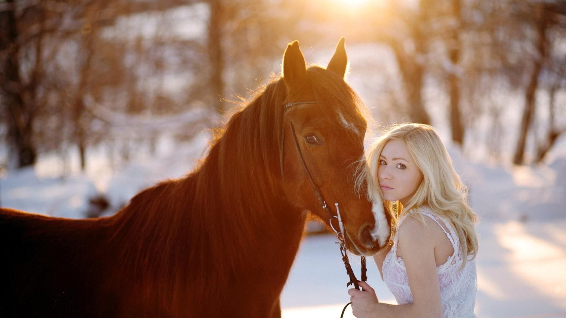 Beauty Girl And Horse Wallpaper Picture 1920x1080. 馬
