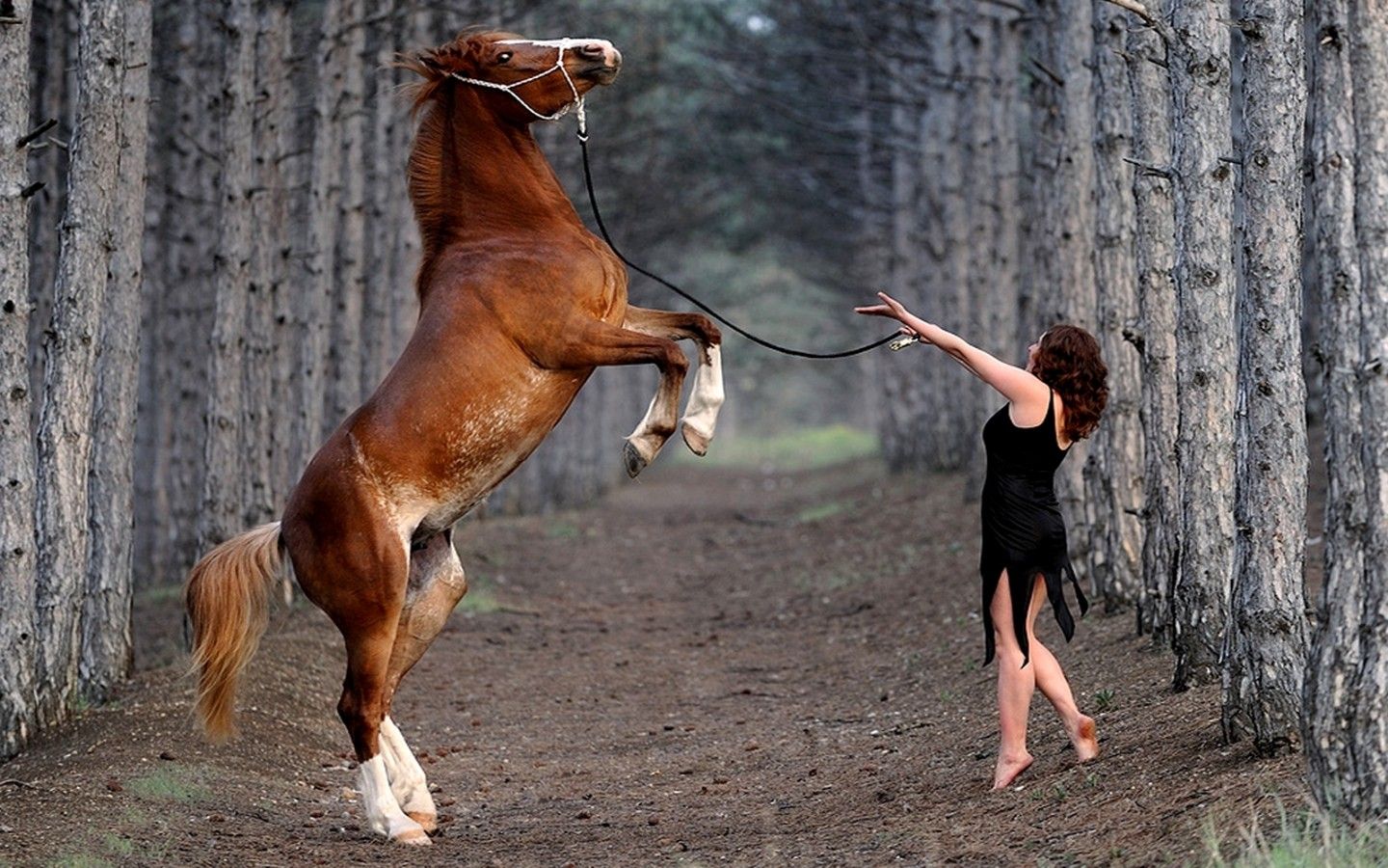 Download Women Horses Wallpaper 1440x900