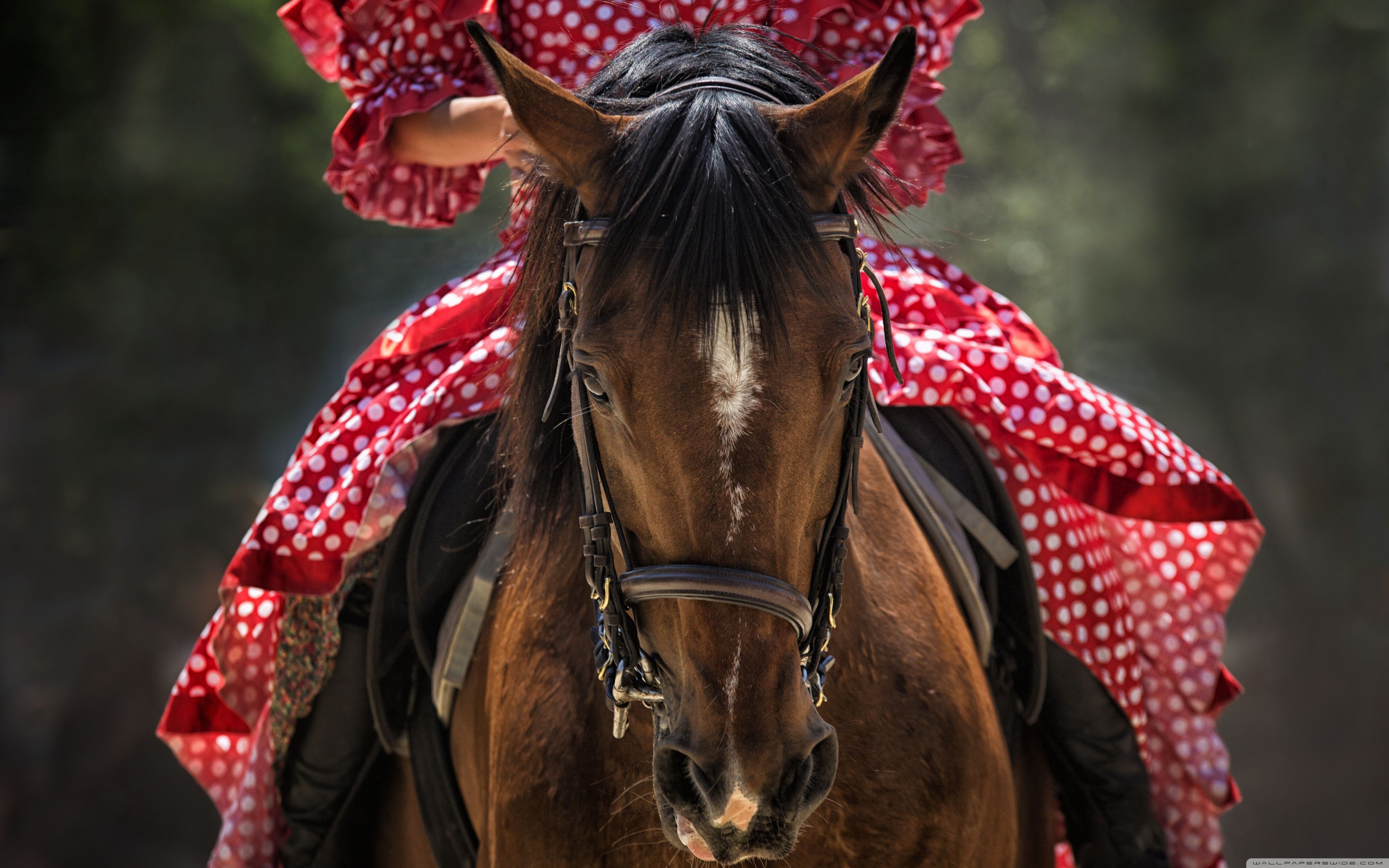 Red Women On Horse