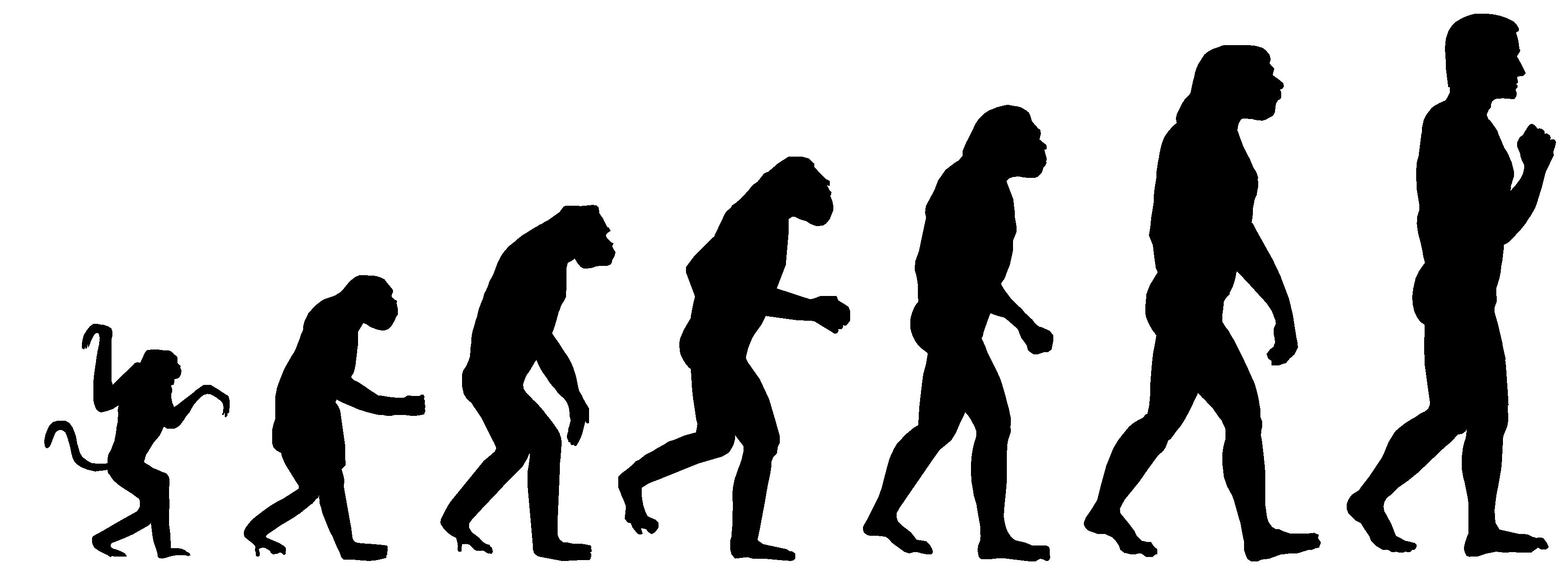 Evolution wallpaper, Humor, HQ Evolution pictureK Wallpaper