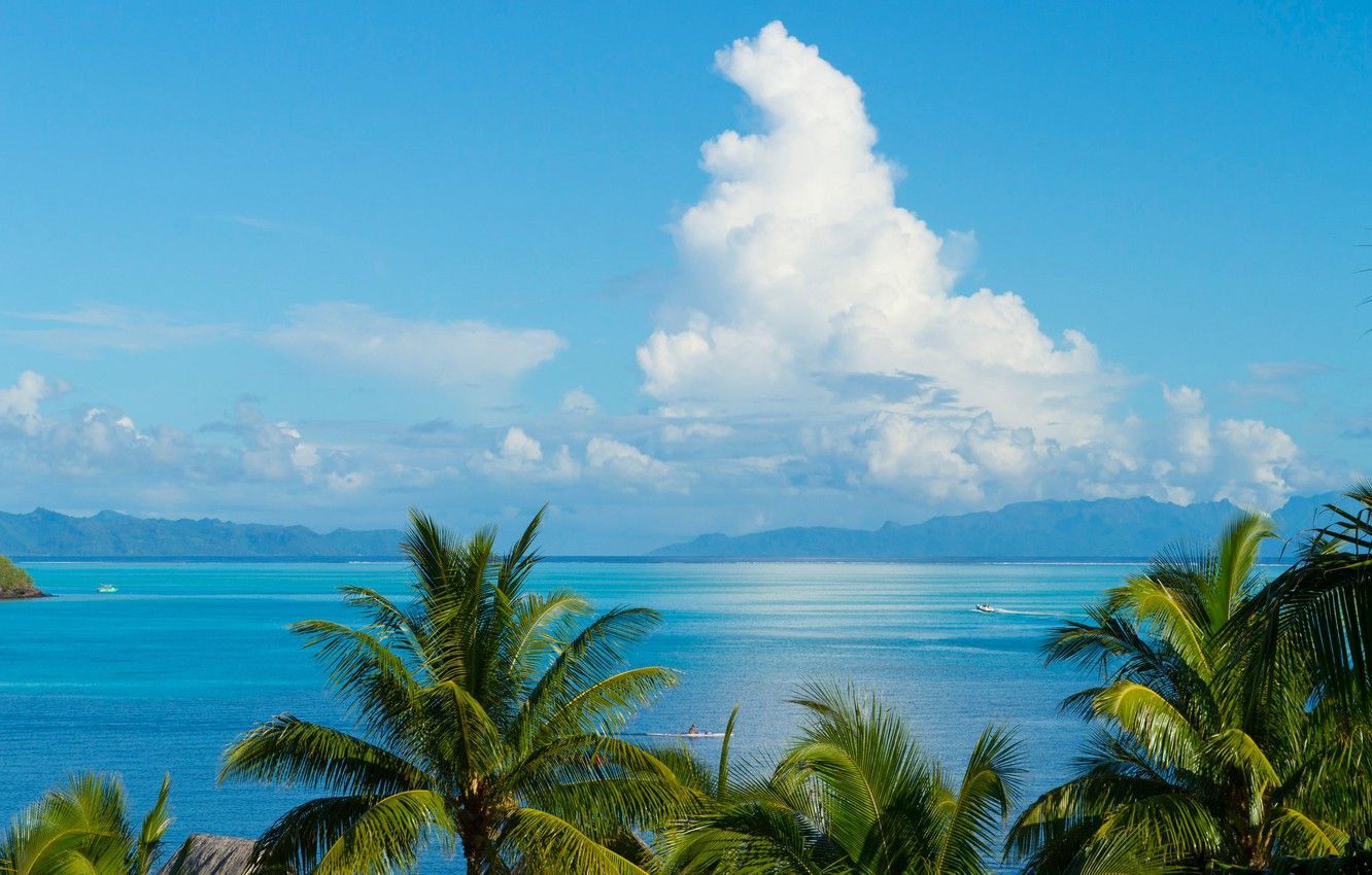 Wallpaper sea, clouds, mountains, palm trees, The Pacific ocean