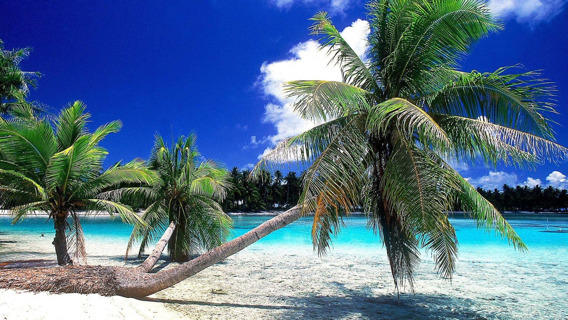 Tahiti French Polynesia Wallpapers - Wallpaper Cave