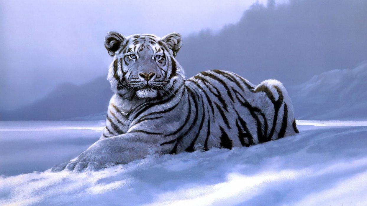 Art big fantasy laying photo Siberian Tiger snow White Tigers