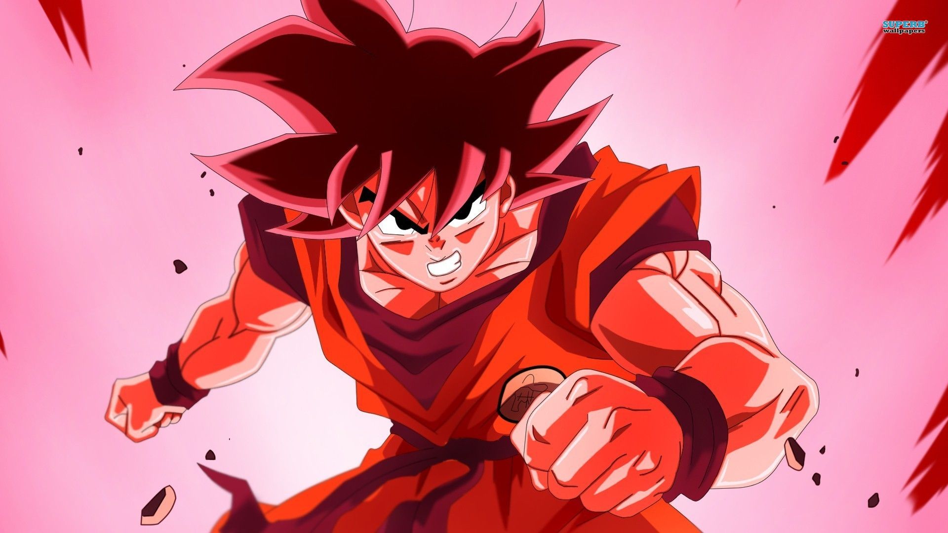 Red Rage Wallpaper Ball Z Wallpaper HD Anime 1920x1080