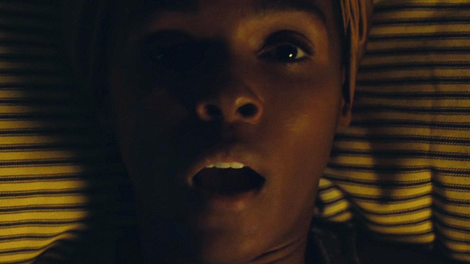 Antebellum, Janelle Monáe's new horror movie, is already scaring