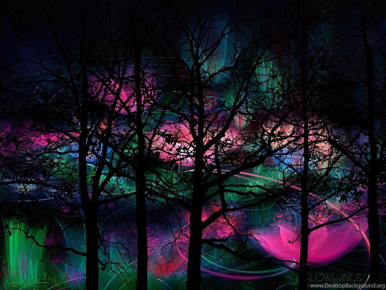 Behind Lotus Land Computer Wallpaper, Desktop Background