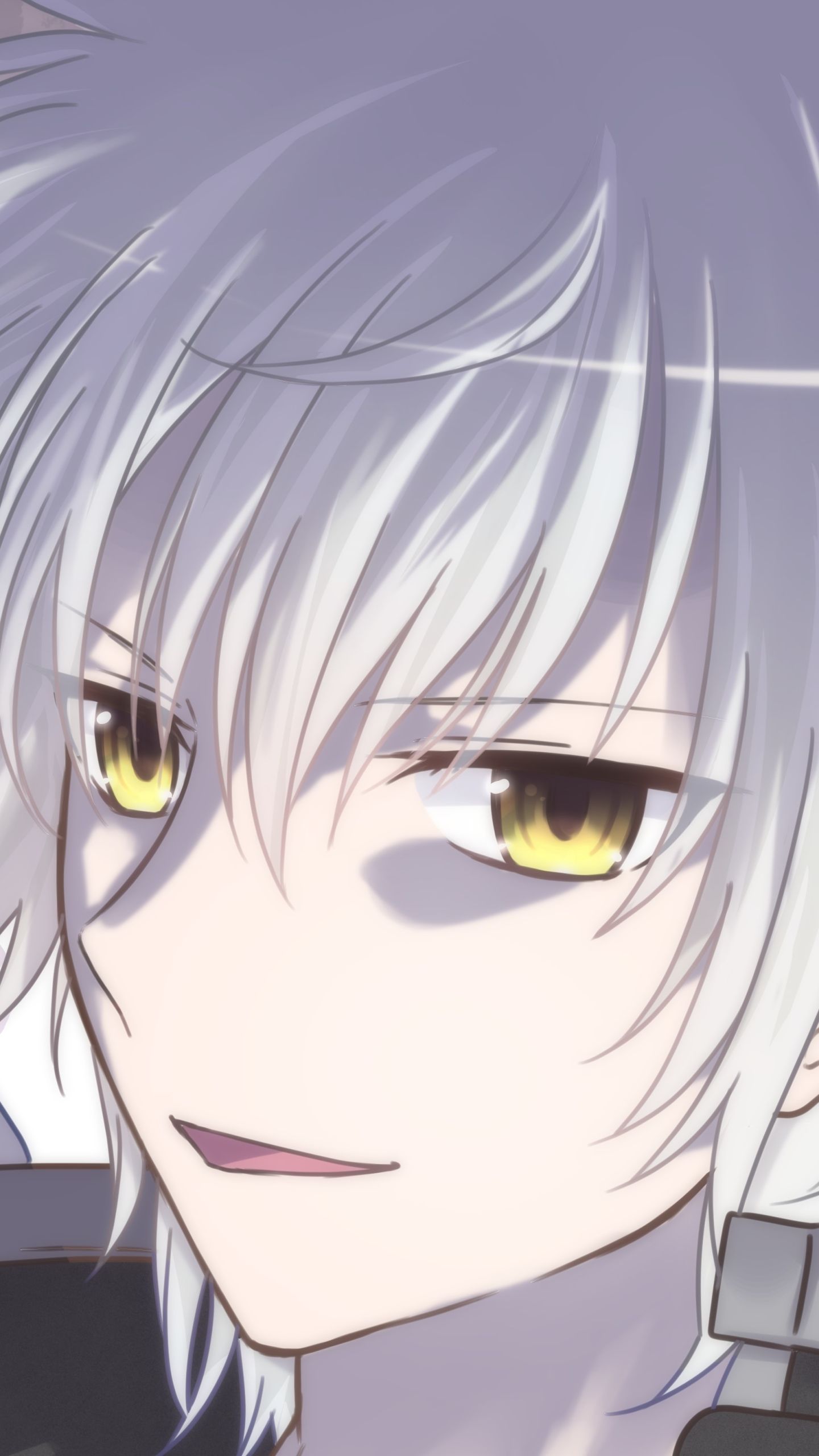 Anime High School DxD (1440x2560) Wallpaper