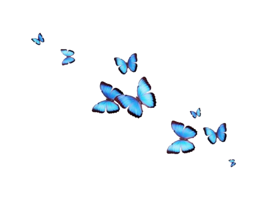 Transparent Butterfly Cute Aesthetic Butterfly Wallpaper