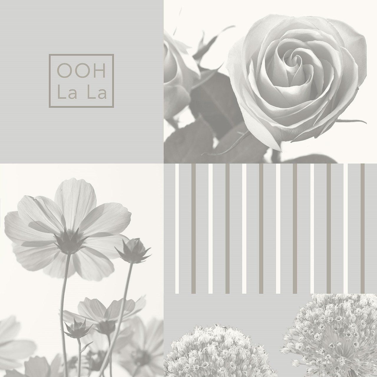 Coco Silver Grey Flower Collage Wallpaper by Crown Wallcoverings M1343