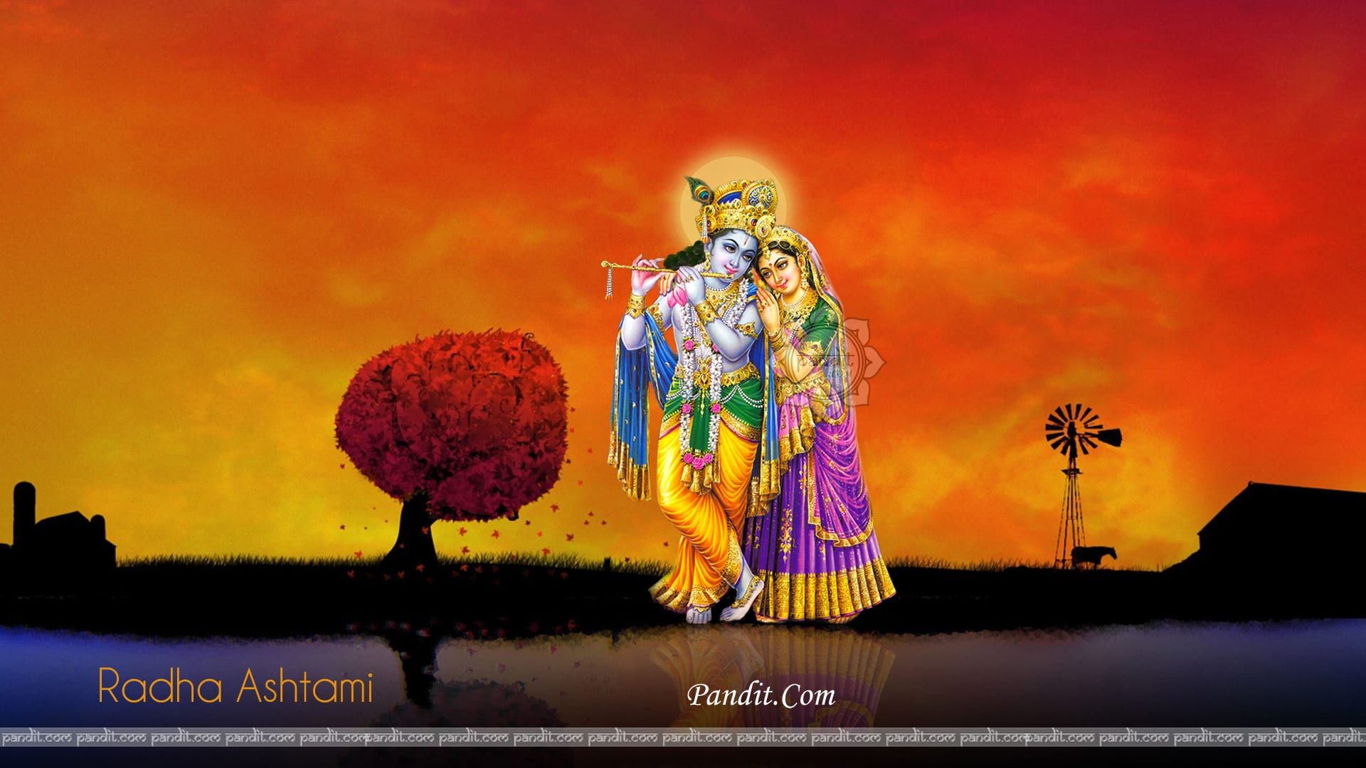 What Is The Reason Behind To Celebrate Radha Ashtami Festival